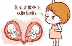 试管婴儿植入两个胚胎