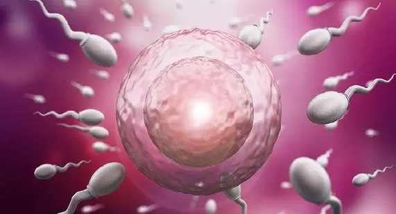 试管婴儿