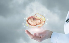 河南试管婴儿代孕违法吗