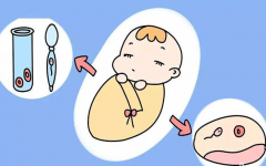 热水烫脚对做试管婴儿有好处吗