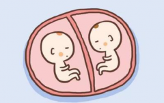 试管婴儿促排5天停止长大,吉尔吉斯斯坦试管婴