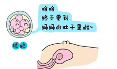 试管婴儿超短方案怎样决定，吉尔吉斯斯坦试管