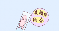 试管婴儿胚胎等级划分,吉尔吉斯斯坦试管婴儿