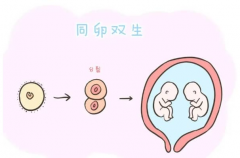 美国第四代试管婴儿