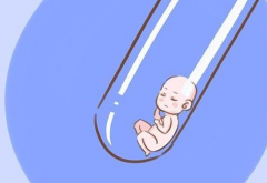 试管婴儿移植第七天见红怎么办