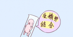 试管婴儿畸形率是多少正常
